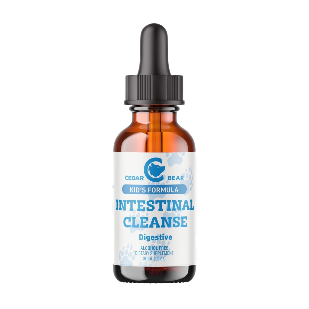 Cedar Bear - Intestinal ניקוי עבור ילדים, תוסף צמחי נוזלי עבור Detox ו- Digestive ניקוי עם צמחי מרפא טבעיים, אלכוהול חינם Gut טיפות עבור ילדים, 1 floz / 30 מ"ל