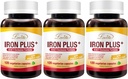 Lovita Iron 18 מ"ג, 6 ב 1 ברזל תוספת לנשים, עם ויטמין C, Dong Quai & B12, ויטמין טבעוני לתמוך Red Blood Cell הפקה ללא עצירות, 120 קפסולות (Pack of 3)