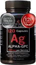 Alpha GPC תוסף ו- BioPerine עבור Hyper Absorption - 120 Count, Alpha-GPC 600 מ"ג עבור שירות - nootropics for Memory, Focus, Energy, & Drive - תוספי כולסטרול כדי Boost Acetylcholine, שנעשה בארה"ב