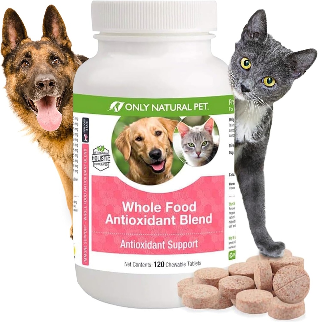 רק Natural Pet Whole Food Antioxidant Green Tea & Berry Antioxidant ויטמין תערובת עבור כלבים, כדי לתמוך במערכת חיסונית בריאה, להילחם בנזק רדיקלי חינם - 60 צ'יפס רך