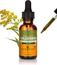 Herb Pharm מוסמך אורגני Goldenrod לחלץ תמיכה מערכת שתן, 1 Fl Oz (Pack של 1)