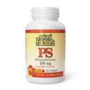 גורמים טבעיים, Phosphatidylserine, תמיכה זיכרון, ריכוז ותפקודי המוח, Soy ו Gluten חינם, 60 Softgelss