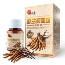 Wild Cordyceps Plus - Wild Cordyceps & 5 Cultivated Cordyceps for Immune, Energy & Lung Support - 60 קפסולות