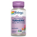 תוסף SOLAרי Turmeric 300 מ"ג - תמצית שורש Turmeric עם 95% Curcumin - תוספת תמיכה משותפת לבריאות משותפת ונוחות - Non-GMO, טבעוני, Gluten Free, 60 יום ערבות, 60 משרתים
