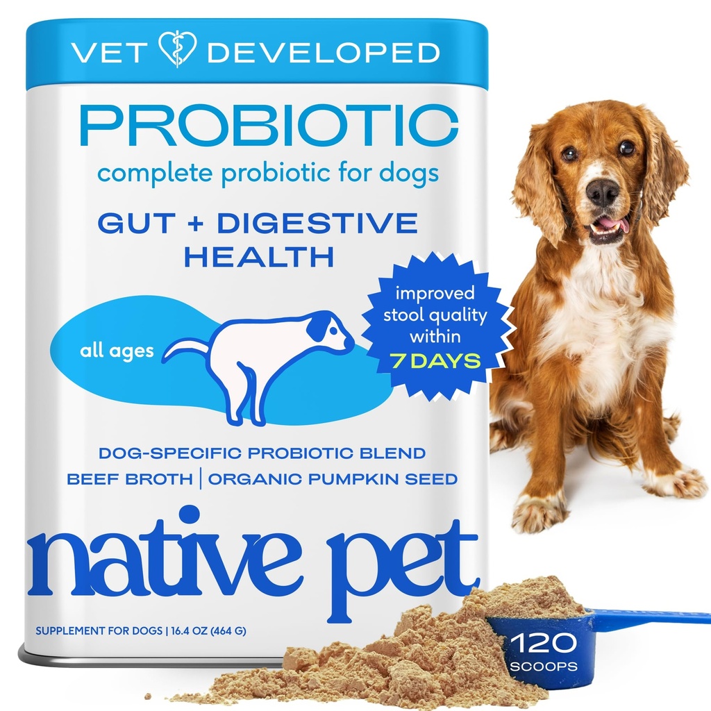Native Pet Probiotics for Dogs - כלב פרוביוטיקה אבקה לבריאות העיכול, התמיכה ב- Gut, & Immune Boost - אבקת Vet-Formulated עבור כוח מקסימלי עם Enzy & Prebiotics - 120 סקוטיים