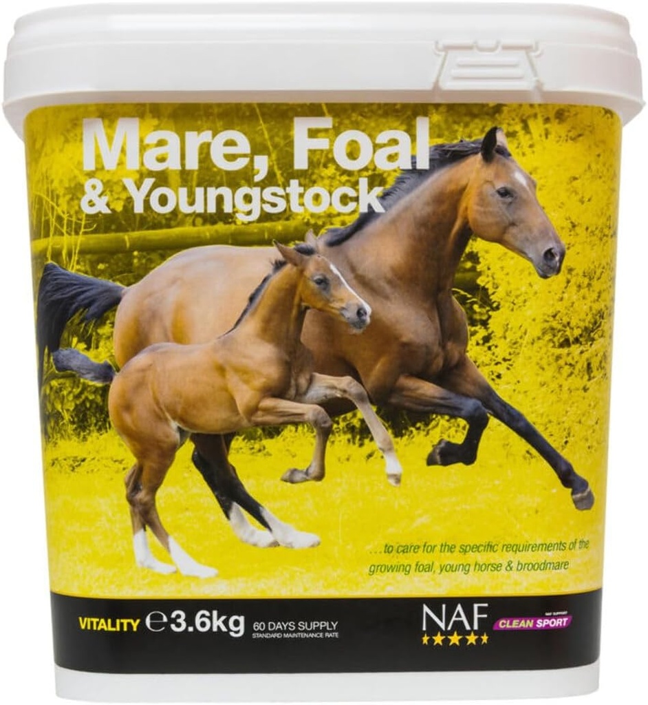NAF Mar, Foal & Youngstock