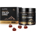 חניכיים אורגניות Shilajit, Pure ההימלאיה Shilajit חניכיים לגברים תוספת, Gold Shilajit חניכיים לנשים,Natural 85+ Trace מינרלים, Ashwagandha, Black Seed Oil Extractd, 90 חניכיים
