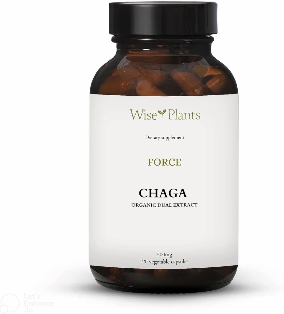 תוספת Chaga Mushroom תמצית כפולה, גוף פירות טהור, 30% Polysaccharides, 500 מ"ג, 120 נקודות (120 יום אספקה). יכול לתמוך בתפקוד העיכול, החיסון ולקדם בריאות הלב.