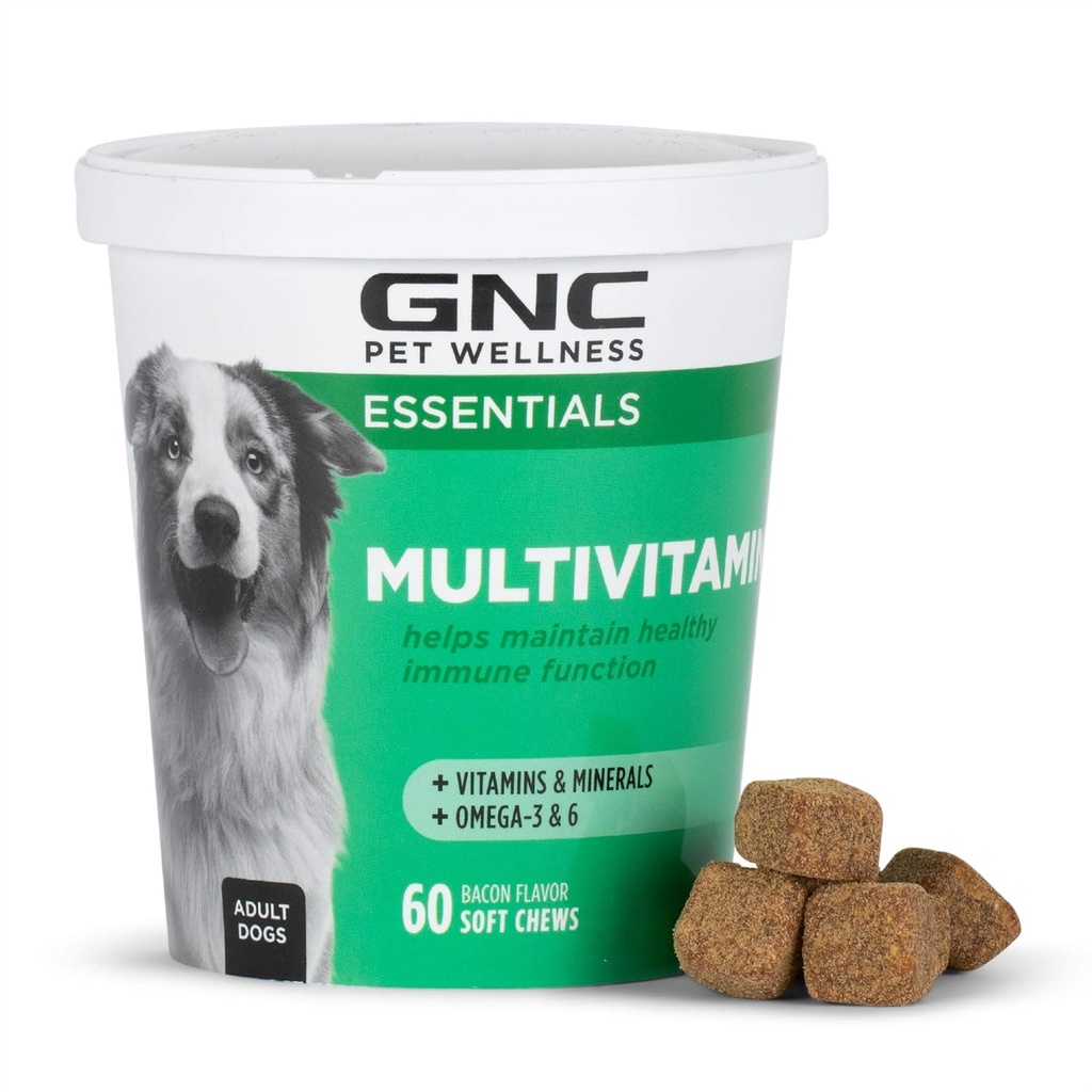GNC חיות מחמד Essentials כלב Multivitamin Soft Chews, Salmon שמן תוסף בייקון פלבדור, Immune Booster ו- Skin ו-Cot תמיכה צ'ירוקים & מינרלים, 60 Count Count Count