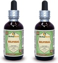 Selfheal (Prunella Vulgaris) Glycerite, אורגני Dried Herb אלכוהול-FREE תמצית נוזלי (שם ברזיל: HerbalTerra, המיוצר גאה בארה"ב) 2x2 fl.oz (2x60 מ"ל)