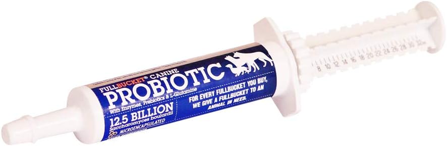 FullBucket Canine Probiotic Paste for Dogs עם 12.5 מיליארד פרוביוטיקה CFUs, Enzymes, Prebiotics ו L-Glutamine עבור Urgent Care, 32.5 mL Tube