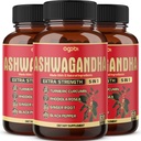 3 Packs 60 קפסולות - Ashwagandha תוסף 5200 מ"ג - 5in1 עם ג'ינג'ר, Turmeric, Rhodiola Rosea & Black Pepper - Sta & Body Health Support - 6-Month Supply Supply