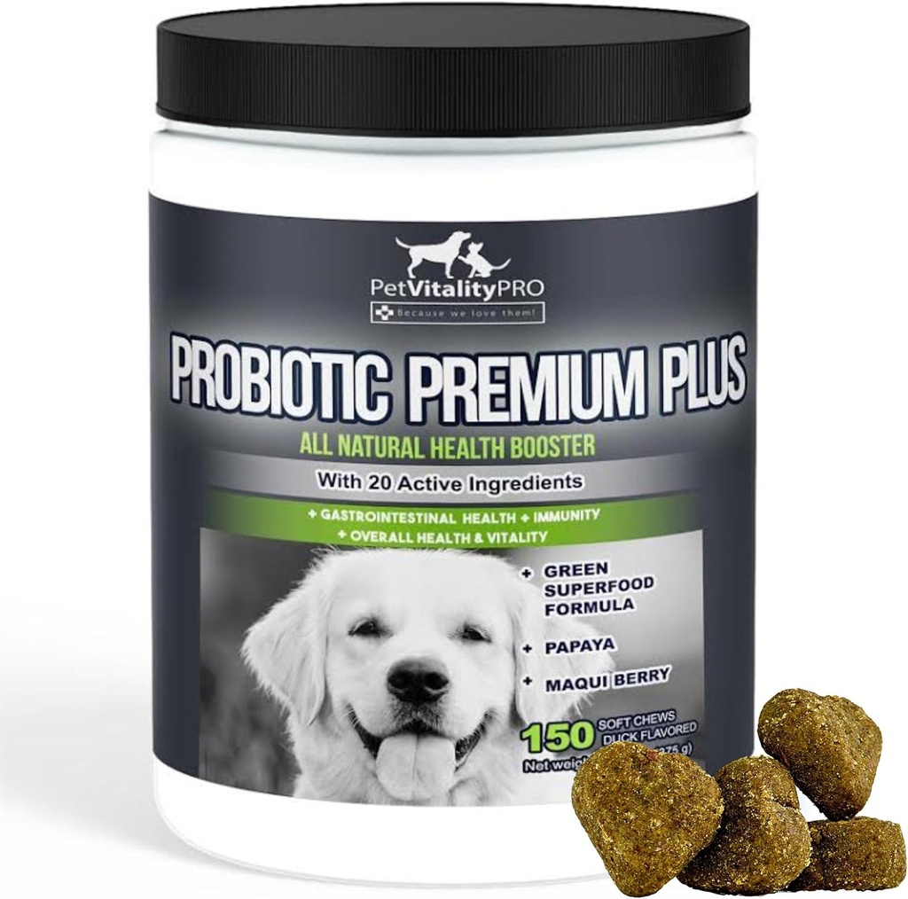 Probiotics for Dogs with Natural Enzymes - 4 ביל CFUs/2 Soft Chews - כלב Dishea Upset Stomach Yeast Gas Bad Breath Immunity Allergies Skin Itching Hot Spots - 150 Count Count Count Count Count