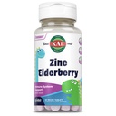 KAL Kids Zinc Elderberry Dinosaurs, Immune Support Supplement * for Children w/ Sambucus Elderberry, Fast Dissolution מעורבים ברי אקטivMelts, Fun, Tasty Dino Shapes, טבעוני, 90 משרתים, 90 מיקרו טבליות