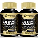 Lions Mane תוספי קפסולות - 120 Count - תוסף Mushroom, תוספי המוח עבור זיכרון ו Focus, Lion's Mane Mushroom קפסולות - תמיכה קוגניטיבית & Immune, Focus - 2 Pack