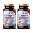 Solgar Kangavites, Bouncin' Brad Flavor - 120 טבליות Chewable, Pack of 2 - שלם Multivitamin & מינרלים פורמולה לילדים - טבעוני, Gluten Free