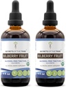 סודות של השבט Bilberry פירות ללא אלכוהול, USDA אורגני Bilberry (Vaccinium Myrtillus) Dried פירות Tincture תוסף (2x4 FL OZ)