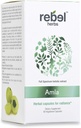 Rebel Herbs Amla כמוסות (Amalaki) - תמיכה כספית, טבעוני, גלוטן ללא גלוטן, Ayurvedic, Antioxidant, מוסמך אורגני Amla