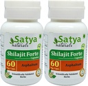 Shilajit Forte כמוסות 500 מ"ג. 60 Veg. כמוסות | Shilajit (Asphaltum) לחלץ קפסולות לגברים ונשים | Ayurvedic Herbal / Remedies | 10:1 Forte (2 בקבוקי 60 קפסולות)
