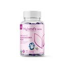 ילדי Hyland's Kids Organic Elderberry Plus Gummies, Organic Black Elderberry עם ZINC ו- ויטמין C, Immune Support for Children, 48 חניכיים טבעוניות
