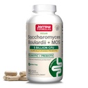 Jarrow Formulas Saccharomyces Boulardii + Probiotics for Digestive Health and Intestinal Tract Support - 5 מיליארד CFU Per משרת - 90 עיכובי שחרור Caps - Probiotic + Prebiotic - 90 משרתים