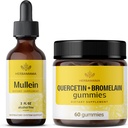 HerBAMAMA Mullein Leaf Extract and Quercetin Gummies Kit - Bundle of Mullein Leaf Drops 2 oz ו-800 מ"ג Quercetin with Bromelain Gummies - טבעוני, non-GMO, אלכוהול-Free 2 Pack - 2 Pack