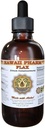 פלט נוזלי Flax, Pure Flax (Linum usitatissimum) תוסף Tincture 4 oz