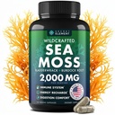 Sea Mosss כמוסות - Irish Sea Mosss מתקדם עם Burdock Root, Bladderwrack & Muira Puama for Immunity, Gut, & Energy - Superfood Sea Moss Supplements w/Raw Sea Mos אבקת - 120 Irish Seamos Pills Pills Pills Pills Pills