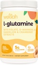 Wellah L-Glutamine Peach מנגו (50 משרתות) - 5g L-Glutamine Per המשרת, מתוקן עם Stevia