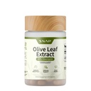 תוספי Snap Supplements Olive Leaf Extracts - Super Power 40% Oleuropein for Blood Flow Support, שיפור העיכול, Antioxidant Boost תוסף, שיפור תפקוד המוח (60 קפסולות)