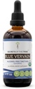סודות של השבט Blue Vervain USDA אורגני | מזון ללא אלכוהול, High-Potency Herbal Drops | עשוי מ-100% מוסמך אורגני כחול ורווהין (Verbena Hastata) Dried Herb (4 oz)