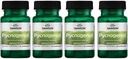 Swanson Pycnogenol 100 מיליגרם 30 קפסולות 4 Pack