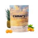 Canary Swift Sother Gummies | Bromelain, Curcumin, Quercetin, ו תוספת Turmeric לבריאות משותפת & Digestion - Vegan Tropical Pineapple Flavor, 60 מסטיקים