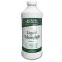 נוזל אוצר קבור Chlorophyll 100 מ"ג, תוספת תזונתית, תמיכה Intestinal Digestive גוף טבעי Deodorant טבעוני non-GMO אלכוהול חינם, Spearmint Flavor 32oz