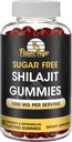 סוכר חינם Shilajit Gummies (1000 מ"ג לשרת) - טבעי ההימלאיה אורגני Fulvic Acid Shilajit תוסף עבור גברים ונשים -60 מסטיק צ'רדס