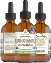 RawGuru Lion's Mane Mushroom Tincture - הפלט של אריה טבעוני עם Trace מינרלים - Nano-Processed Immunity Boost & Cognitive Supplement - 120 משרתות של טיפות טבעוניות ל 60 מ"ל, Pack של 1 1