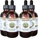 Cordyceps אלכוהול חינם לחלץ, Cordyceps (Cordyceps Sinensis) Mushroom Glycerite הוואי Pharm טבעי צמחי 4x4 oz