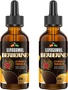 תוספת ברברין עם Ceylon Cinnamon 3000 מ"ג - High Bioavailability Liposomal Berberine נוזל טיפות, Berberine HCL Complex Plus Turmeric Supplements, AMPK Activator, מתאים לנשים, גברים 120 מ"ל