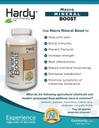 Macro מינרלים Boost - High Intensity Calcium תוסף בריאות העצם והשיניים עם ויטמין C, D, K, Calcium, Phosphorus, Magnesium, Ultra Absorbable