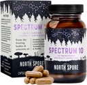 North Spore Organic 'Spectrum 10' Mushroom לחלץ קפסולות | תוספת קוגניטיבית | Lion's Mane, Chaga, Cordyceps, Reishi, Turkey Tail | 10nal Mushrooms | אנרגיה, פוקוס, קלרנס - 120 ctct - 120 ct.