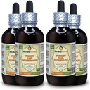 טורקיה Tail Mushroom (Trametes Versicolor) Tincture, ייצור נוזלי Dried Mushroom (שםBrand: HerbalTerra, Proly Made in USA) 4x4 fl.oz (4x120 מ"ל)