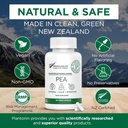 Palmitoylethanolamide Pea 600mg - Micronized Pea תוספי 99% - 2 חודשים אספקה - תמיכה טבעית מתקדמת נוחות משותפת