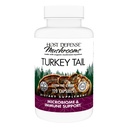 Host Defense Turkey Tail כמוסות - בריאות מזיקה ו- Immune Support Supplement - תוסף Mushroom for Gastro gut & Gut Microbiome Support - 120 קפסולות (60 משרתים)