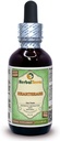 Heartsease (Viola טט) Glycerite, אורגני Dried Leaves and Flowers-Free Liquid Extract Extract (Brand Name: HerbalTerra, Proly Made in USA) 2 fl.oz (60 מ"ל)