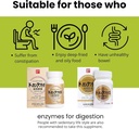 Enzymes & Herbal Digest תוספת סיבים לנשים, עם 39 צמחים ו -7 צמחים בלנדרים עבור אנרגיה ומטבוליזם תמיכה, זהב 150 טבליות, מיפן, 2 EA