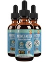 Rejuvica Health NerveFactor - Advanced Nerve Support Supplement - משלוח נוזלי עבור Better Absorption - Acetyl-L-Carnitine, Alpha Lipoic Acid, ויטמין B12, Folic Acid, White Willow Bark & More!