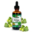 Nature's answer אלכוהול חינם גינקו 2000mg 2oz לחלץ | Stimulates Memory, Mood & Concentration