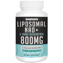 Liposomal NAD + 800 מ"ג עם Trans-Resveratrol 300 מ"ג, Max Absorption, Actual NAD+ 800 מ"ג עם Trans-Resveratrol 300 מ"ג, Max Absorption, Actual NAD+ הגדלת תוספת להזדקנות בריאה, אנרגיה סלולרית, תיקון דנ"א, Longevity - 60 Softgels
