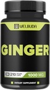 1000 מ"ג ג'ינג'ר תוספי קפסולות עם Berberine HCl, Elderberry, Echinacea & More - 11in1 Support Digestion, Joint Health, Immune System, and Heart Health - 210 גלולות ג'ינג'ר