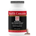 דאגות בריאות של Power Mushrooms - Immune System & Natural Support - תוסף Mushroom עם Reishi, Tremella, Maitake, Poria - תוספת סינית מסורתית צמחי - 90 קפסולות